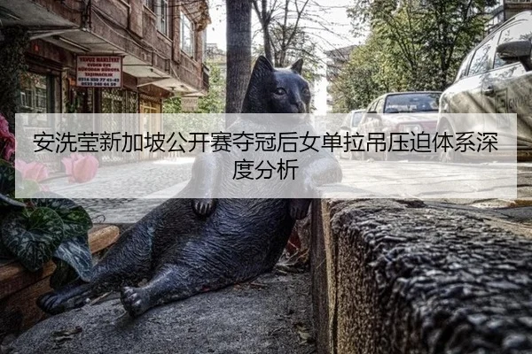 安洗莹新加坡公开赛夺冠后女单拉吊压迫体系深度分析